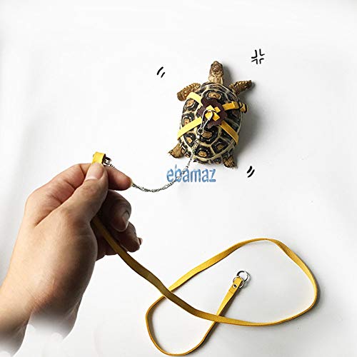 ebamaz Leather Harness Strap for Tortoise/Turtle Pet Walking Lead Control Rope Chest Collar (L)