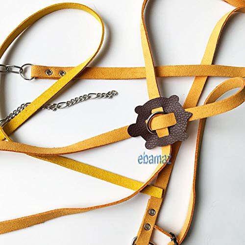 ebamaz Leather Harness Strap for Tortoise/Turtle Pet Walking Lead Control Rope Chest Collar