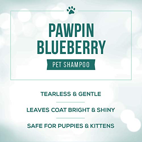 Nature's Specialties Puppy Friendly Dog Shampoo for Pets, Concentrate 16:1, Made in USA, Pawpin Blueberry, 16oz