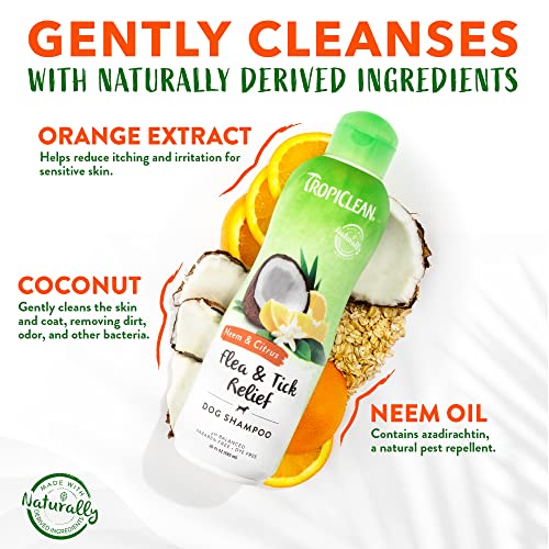 TropiClean Neem & Citrus Flea & Tick Relief Shampoo for Dogs, 20oz - Soothing Relief from Flea & Tick Irritations, Made in the USA