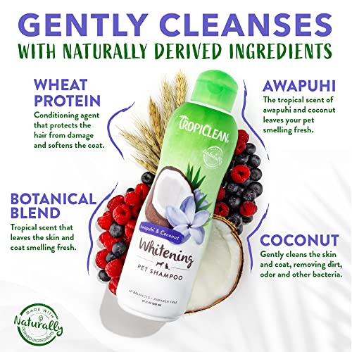 TropiClean Awapuhi & Coconut Whitening Shampoo for Pets, 20oz - Made in USA - Whitens and Brightens All Coats