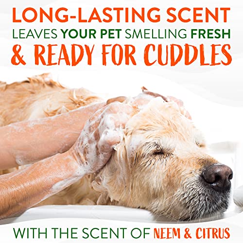 TropiClean Neem & Citrus Flea & Tick Relief Shampoo for Dogs, 20oz - Soothing Relief from Flea & Tick Irritations, Made in the USA