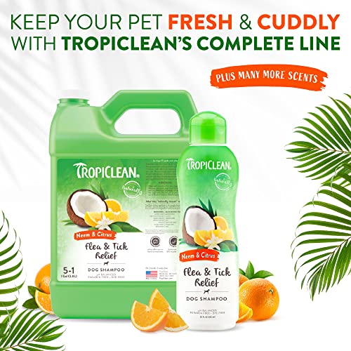 TropiClean Neem & Citrus Flea & Tick Relief Shampoo for Dogs, 20oz - Soothing Relief from Flea & Tick Irritations, Made in the USA