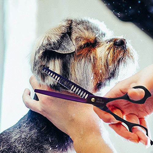 Dream Reach 7.0 inches Professional Decompressed Elastic Handle Pet Grooming Scissors Set,Straight & Chunker & 2 Curved Scissors 4pcs Set for Dog Grooming (Purple) (Chunker Scissor)