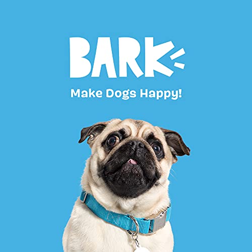 BarkBox 2-in-1 Interactive Plush Puzzle Dog Toys - Squeaky Pet and Puppy Enrichment Toys for Small, Medium, and Large Dogs | Monsieur Acorn