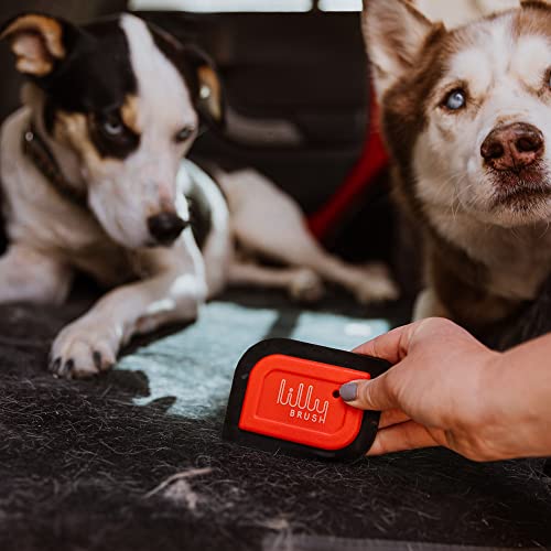 Lilly Brush Mini Pet Hair Detailer Dog Hair Remover, Cat Hair Remover, Pet Hair Remover