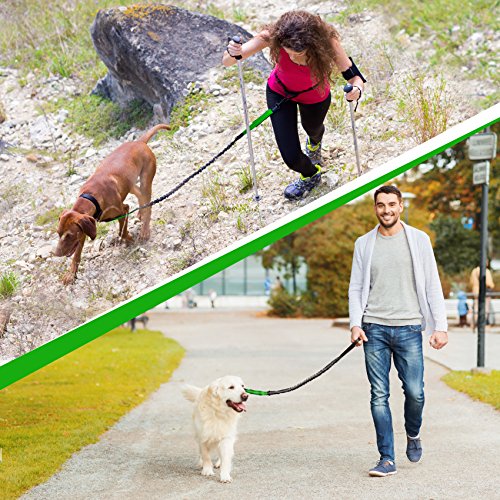 SparklyPets Hands Free Dog Leash for Medium and Large Dogs – Professional Harness with Reflective Stitches for Training, Walking, Jogging and Running Your Pet (Green, for 1 Dog)