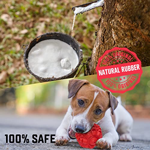 VANFINE Dog Squeaky Toys Almost Indestructible Tough Durable Dog Toys Dog chew Toys for Large Dogs Aggressive chewers Stick Toys Puppy Chew Toys with Non-Toxic Natural Rubber