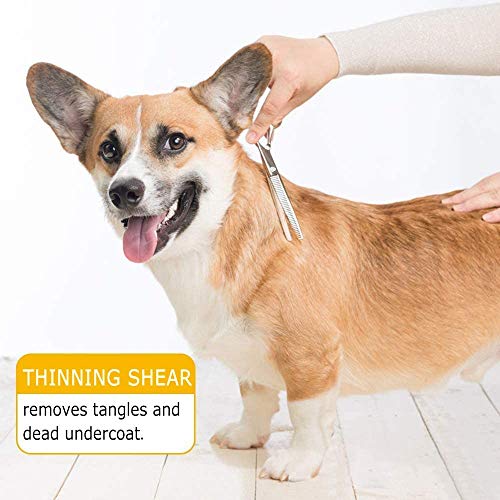 YL TRD Dog Grooming Scissors Kit Hair Cutting Set, Pet trimmer kit, Dog Shears for Grooming, Thinning Shears, Curved Scissors, Grooming Comb for Dogs Rabbits Cats Grooming Tools