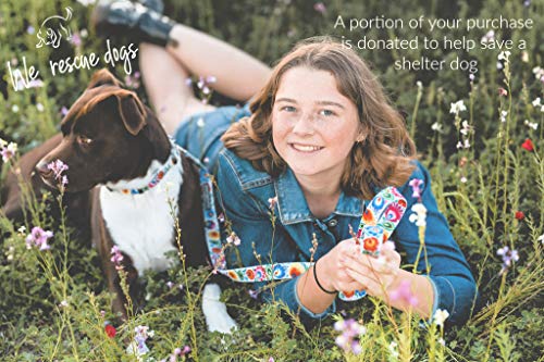 Lucky Love Dog Collars, Cute Girl Collars, Small Medium Large Female Collars, Part of Purchase Donated to Rescue (Ladybird, XS)
