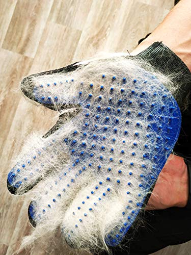 RoyalPups Pet Grooming Gloves Complete with a Bonus Comb Silicone, Blue