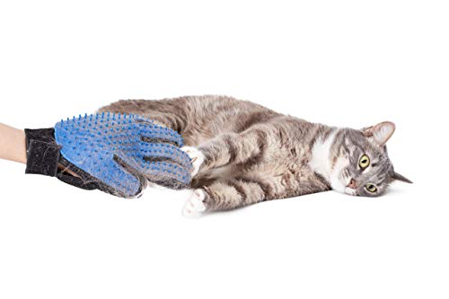 RoyalPups Pet Grooming Gloves Complete with a Bonus Comb Silicone, Blue