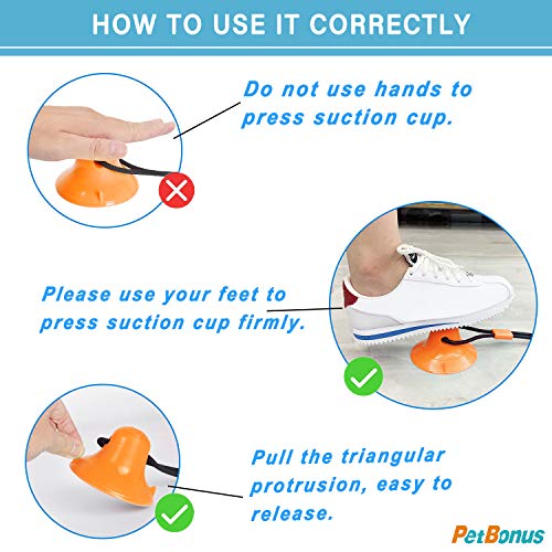 PetBonus Dog Chew Toys, Pet Rope Toys with 2 Suction Cups, Dog Puzzle and Teeth Cleaning Toy, Interactive Treat Food Dispensing Toys for Small Medium Large Dogs (Orange, Blue)