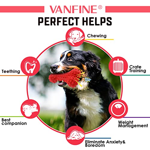 VANFINE Dog Squeaky Toys Almost Indestructible Tough Durable Dog Toys Dog chew Toys for Large Dogs Aggressive chewers Toys Puppy Chew Bone with Non-Toxic Natural Rubber