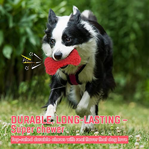 VANFINE Dog Squeaky Toys Almost Indestructible Tough Durable Dog Toys Dog chew Toys for Large Dogs Aggressive chewers Toys Puppy Chew Bone with Non-Toxic Natural Rubber