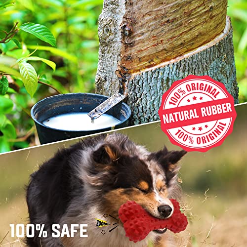 VANFINE Dog Squeaky Toys Almost Indestructible Tough Durable Dog Toys Dog chew Toys for Large Dogs Aggressive chewers Toys Puppy Chew Bone with Non-Toxic Natural Rubber