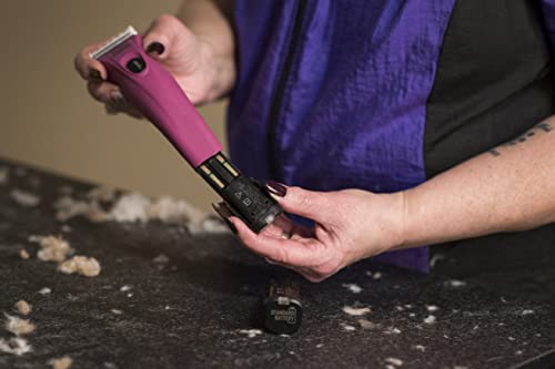 Wahl Professional Animal Creativa Cordless Dog, Cat, Pet, and Horse Clipper with 5-in-1 Adjustable Blade, Berry (#41876-0431)