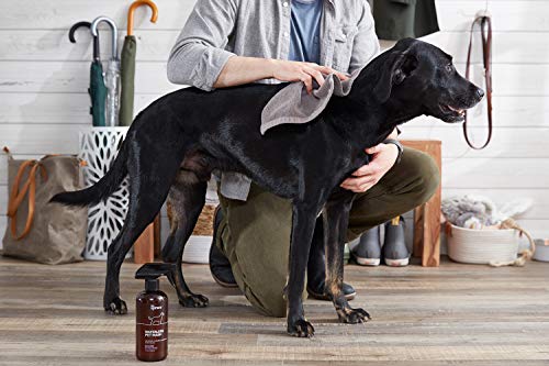 The Spruce Waterless Pet Wash, No Rinse Moisturizing Shampoo forÂ PetsÂ - Daily Pet Care - Cleaning, Cleansing, and Conditioning for Dogs, Puppies, and Cats - Lavender, 17oz, 2 Pack