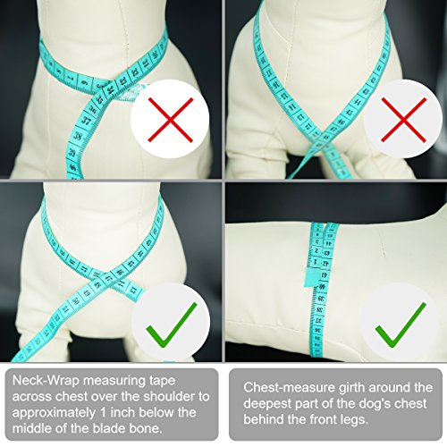 WONDERPUP Soft Mesh Dog Harness No Pull Walking Comfort Padded Vest Harnesses Adjustable Purple XS