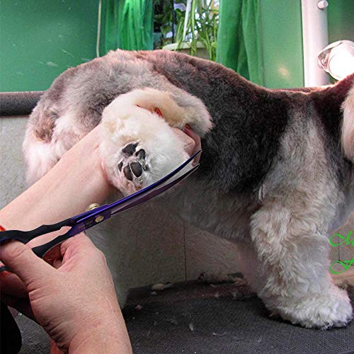 Dream Reach 7.0 inches Professional Decompressed Elastic Handle Pet Grooming Scissors Set,Straight & Chunker & 2 Curved Scissors 4pcs Set for Dog Grooming (Purple) (Up-Curved Scissor)