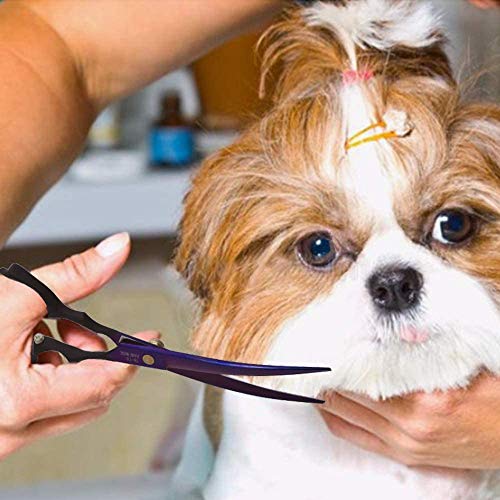 Dream Reach 7.0 inches Professional Decompressed Elastic Handle Pet Grooming Scissors Set,Straight & Chunker & 2 Curved Scissors 4pcs Set for Dog Grooming (Purple) (Up-Curved Scissor)