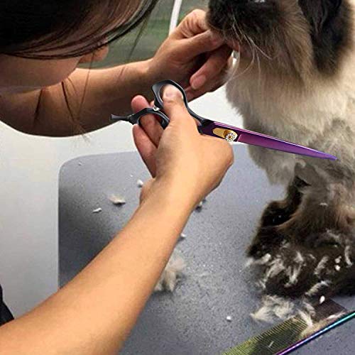 Purple Dragon Professional 7.0/8.0 inch Pet Grooming Hair Cutting Scissor and 6.75/8.0 inch Dog Chunker Shear - Japan 440C Stainless Steel for Pet Groomer or Family DIY Use (8 inch Cutting Scissor)