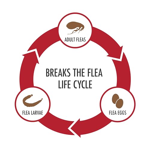 Advecta 3 Flea and Tick Topical Treatment, Flea and Tick Control for Dogs, X-Large over 50lbs, 4 Month Supply