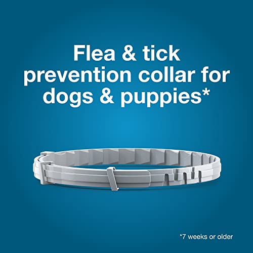 Seresto Flea and Tick Collar for Dogs, 8-Month Tick and Flea Control for Dogs Up To 18 Lbs