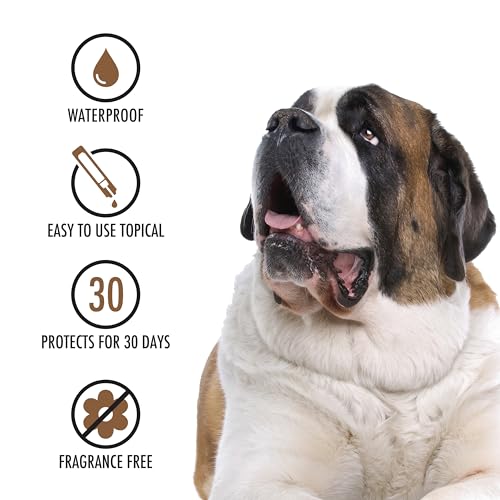 Advecta 3 Flea and Tick Topical Treatment, Flea and Tick Control for Dogs, X-Large over 50lbs, 4 Month Supply