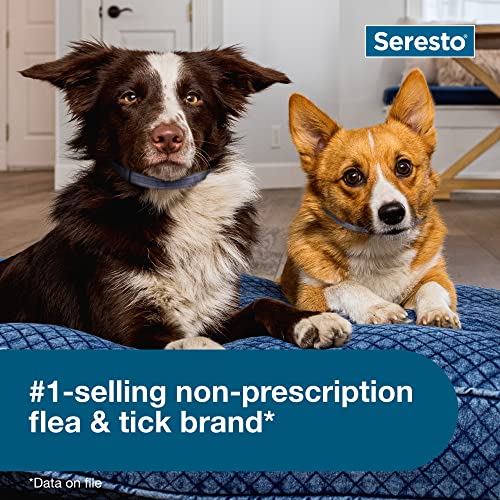 Seresto Flea and Tick Collar for Dogs, 8-Month Tick and Flea Control for Dogs Up To 18 Lbs