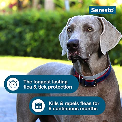 Seresto Flea and Tick Collar for Dogs, 8-Month Tick and Flea Control for Dogs Over 18 Lbs