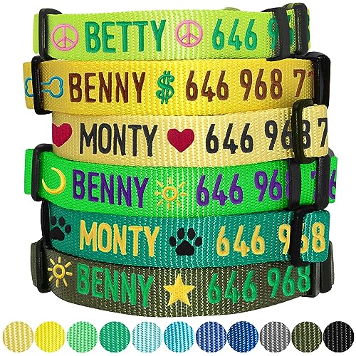 Blueberry Pet Essentials Personalized Dog Collar, Blazing Yellow, Large, Adjustable Customized ID Collars for Large Dogs Embroidered with Pet Name & Phone Number
