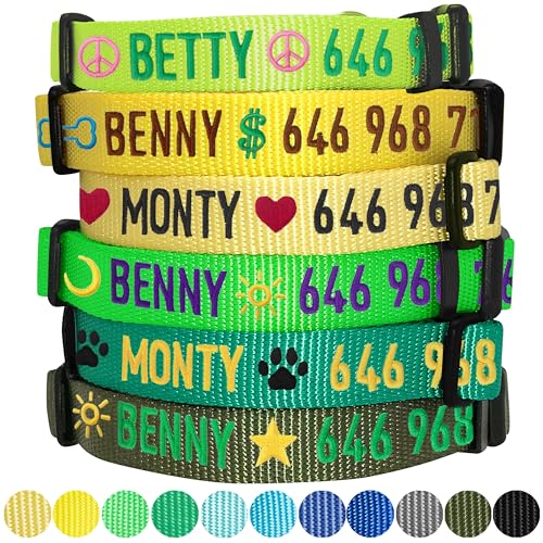 Blueberry Pet Essentials Personalized Dog Collar, Neon Green, Large, Adjustable Customized ID Collars for Large Dogs Embroidered with Pet Name & Phone Number