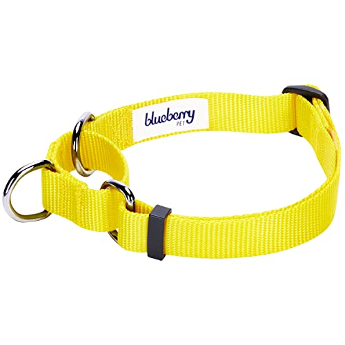 Blueberry Pet Essentials Martingale Safety Training Dog Collar, Blazing Yellow, Large, Heavy Duty Nylon Adjustable Collars for Dogs