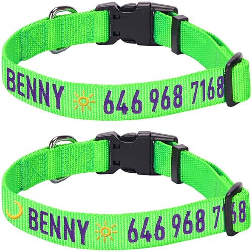 Blueberry Pet Essentials Personalized Dog Collar, Neon Green, Large, Adjustable Customized ID Collars for Large Dogs Embroidered with Pet Name & Phone Number