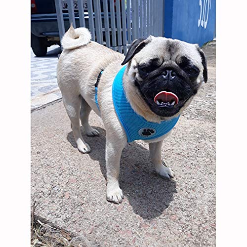 WONDERPUP Soft Mesh Dog Harness No Pull Walking Comfort Padded Vest Harnesses Adjustable Blue M
