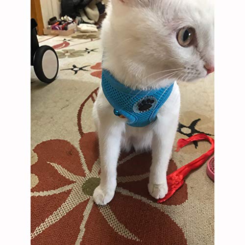 WONDERPUP Soft Mesh Dog Harness No Pull Walking Comfort Padded Vest Harnesses Adjustable Blue M