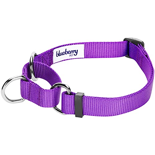 Blueberry Pet Essentials Martingale Safety Training Dog Collar, Dark Orchid, X-Small, Heavy Duty Nylon Adjustable Collars for Dogs