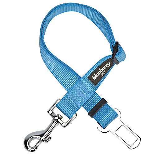 Blueberry Pet Classic Dog Seat Belt Tether for Dogs Cats, Medium Turquoise, Durable Safety Car Vehicle Seatbelts Leads Use with Harness