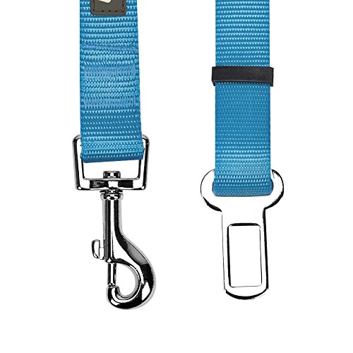 Blueberry Pet Classic Dog Seat Belt Tether for Dogs Cats, Medium Turquoise, Durable Safety Car Vehicle Seatbelts Leads Use with Harness