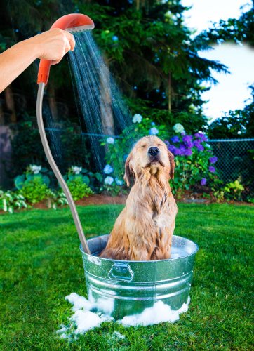 Ivation Portable Outdoor Shower, Battery Powered - Compact Handheld Rechargeable Camping Showerhead - Pumps Water from Bucket Into Steady, Gentle Shower Stream