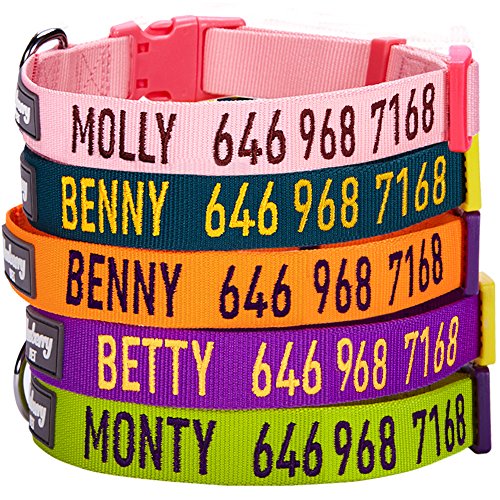 Blueberry Pet Essentials 30 Colors Personalized Dog Collar, Pink, Medium, Adjustable Customized ID Collars for Medium Dogs Embroidered with Pet Name & Phone Number