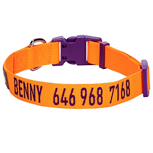 Blueberry Pet Essentials 30 Colors Personalized Dog Collar, Blazing Orange, Medium, Adjustable Customized ID Collars for Medium Dogs Embroidered with Pet Name & Phone Number