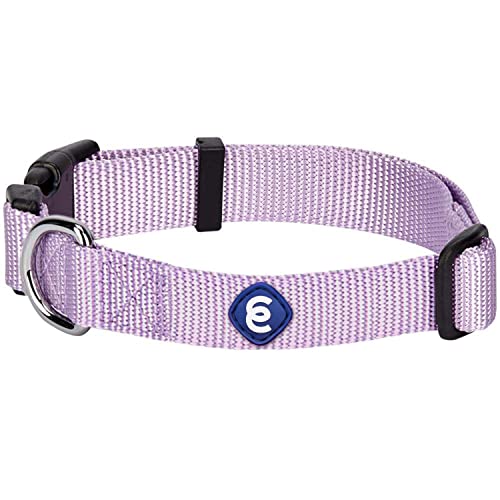Blueberry Pet Essentials 21 Colors Classic Dog Collar, Lavender, Small, Neck 12"-16", Nylon Collars for Dogs