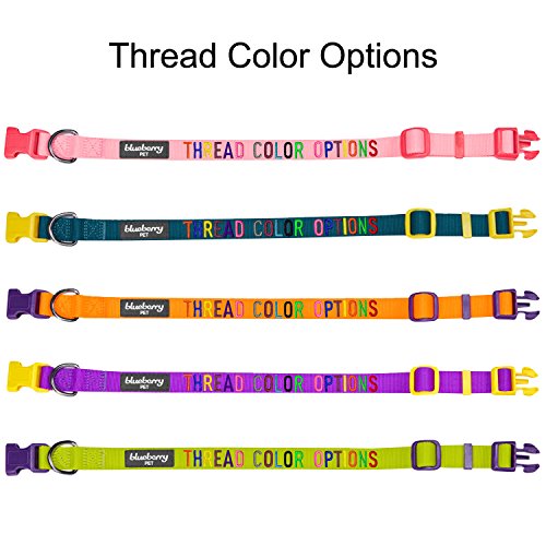 Blueberry Pet Essentials 30 Colors Personalized Dog Collar, Blazing Orange, Medium, Adjustable Customized ID Collars for Medium Dogs Embroidered with Pet Name & Phone Number