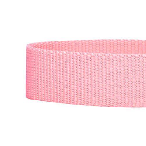 Blueberry Pet Essentials 30 Colors Personalized Dog Collar, Pink, Medium, Adjustable Customized ID Collars for Medium Dogs Embroidered with Pet Name & Phone Number