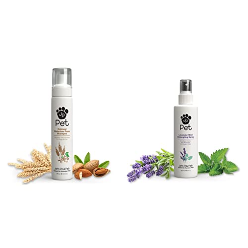 Oatmeal Waterless Foam - Grooming for Dogs and Cats, Soothe Sensitive Skin Formula with Aloe for Itchy Dryness for Pets, & Lavender Mint Detangling Spray for Dogs and Cats, Non-Aerosol, 8-Ounce, clear