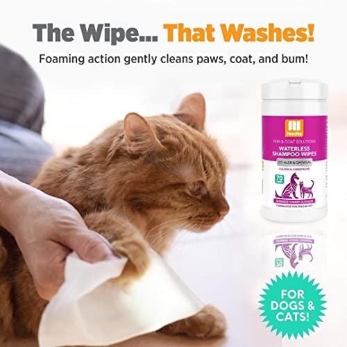 Nootie Waterless Shampoo Wipes for Dogs & Cats-Long Lasting Fragrances-Sold in Over 3000 Vet Clinics-Made in U.S.A. 70 Count
