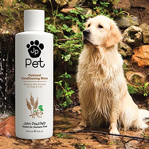 Oatmeal Waterless Foam - Grooming for Dogs and Cats, Soothe Sensitive Skin Formula with Aloe for Itchy Dryness for Pets, pH Balanced & Oatmeal Conditioning Rinse for Dogs and Cats, 16-Ounce