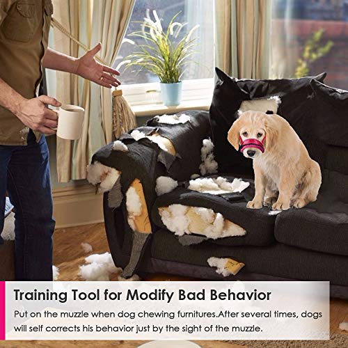 SlowTon Soft Dog Muzzle, Adjustable Padded Nylon Muzzle for Large Medium Dogs Anti Chewing Barking Biting, Allow Dog Pant & Drink (Fuchsia, M)